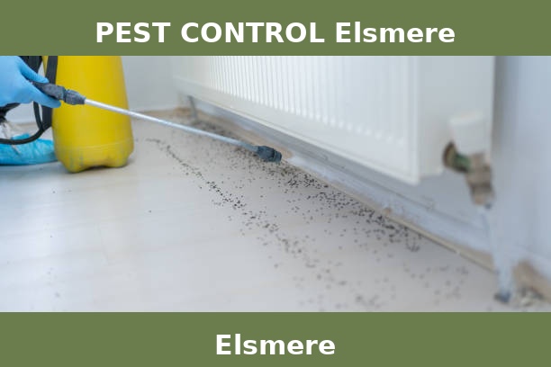 PEST CONTROL Elsmere
